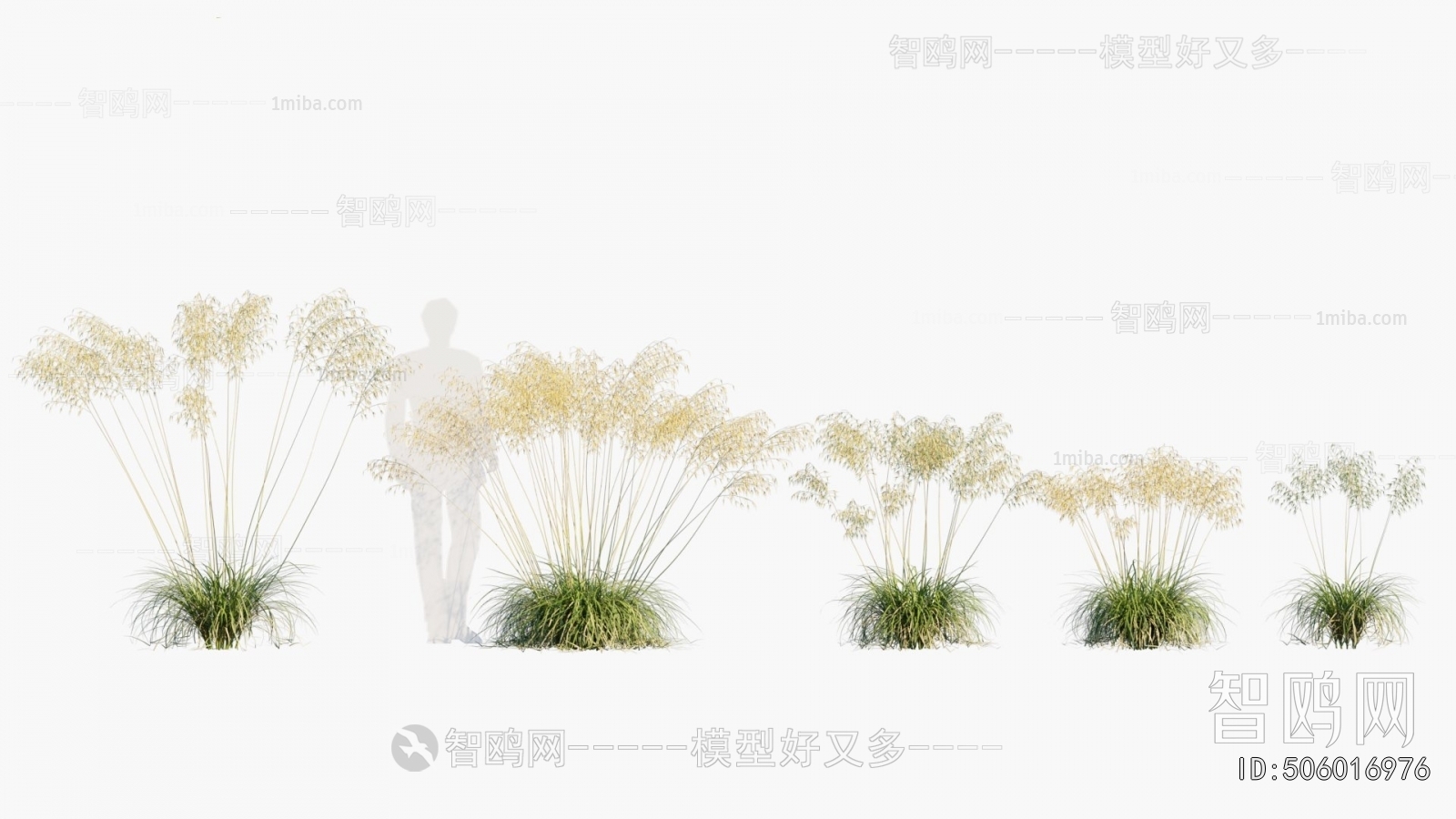 Modern Flowers And Grass