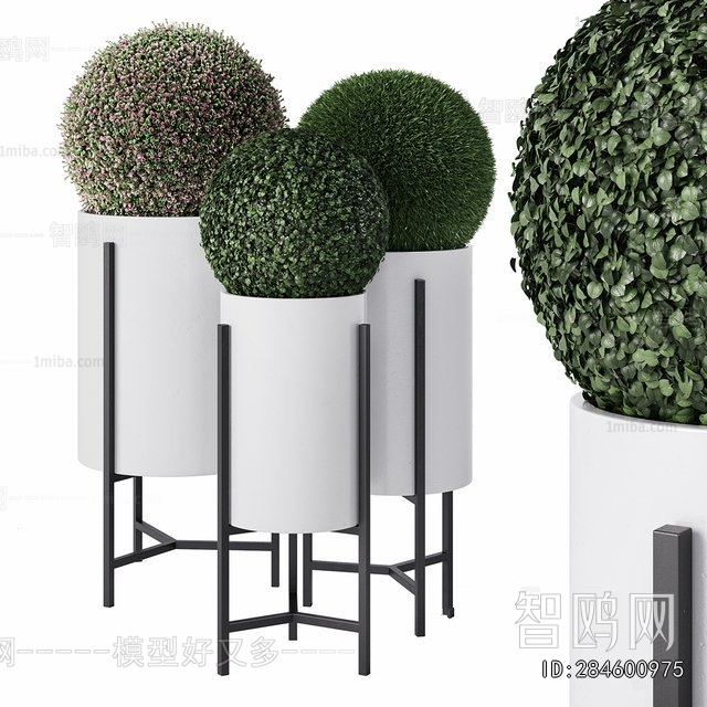 Modern Ground Green Plant Potted Plants