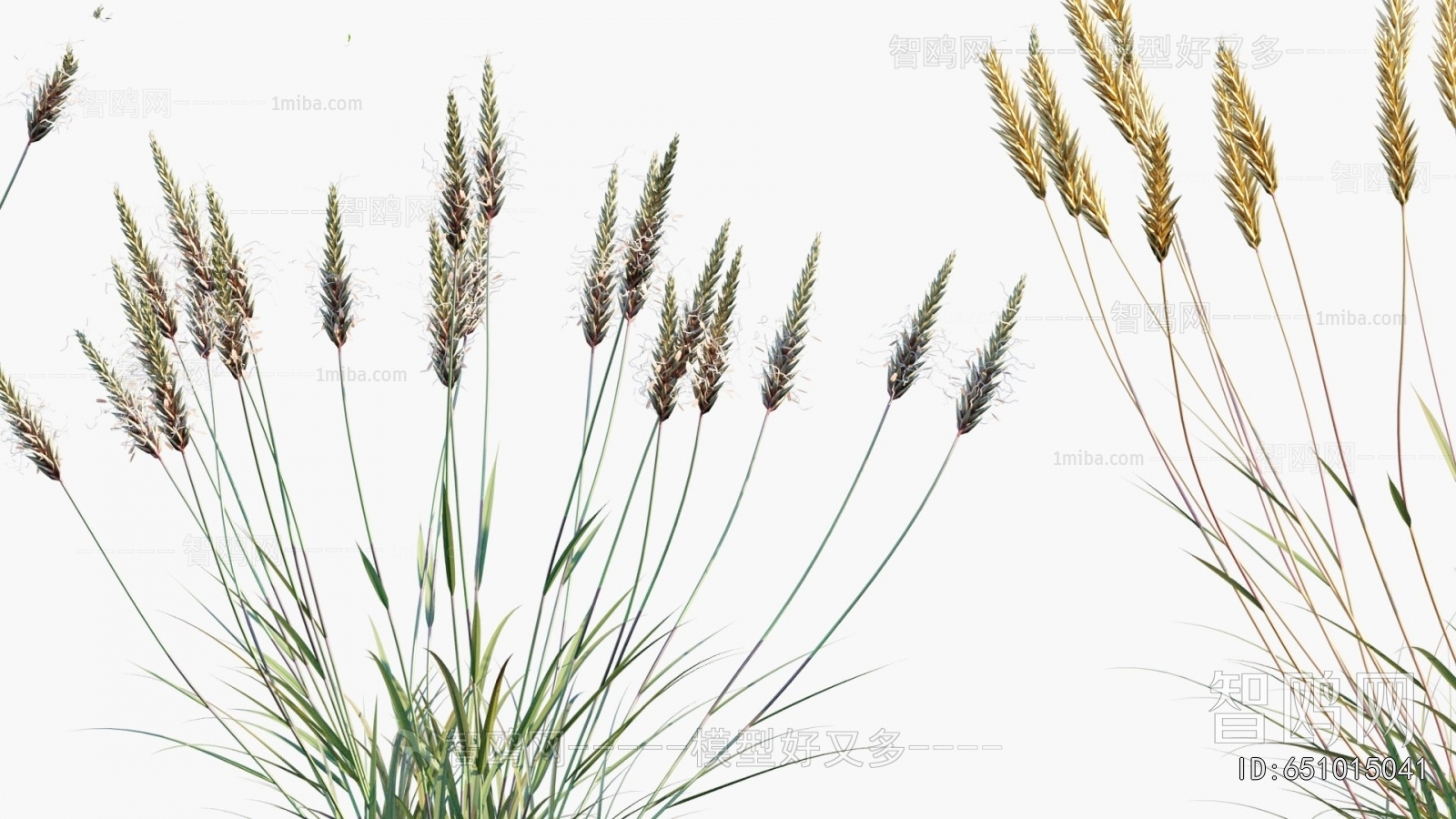 Modern Flowers And Grass