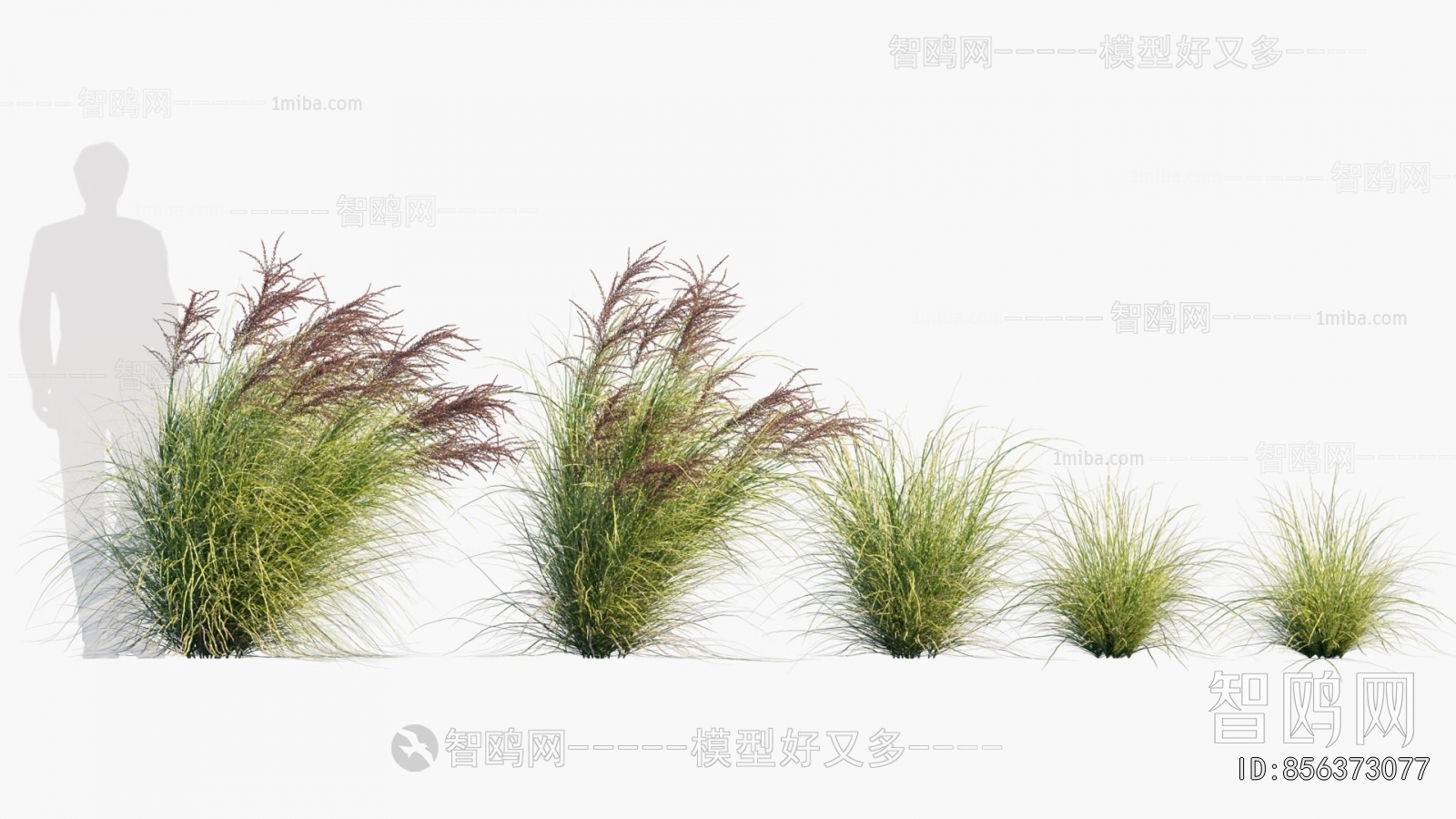 Modern Flowers And Grass