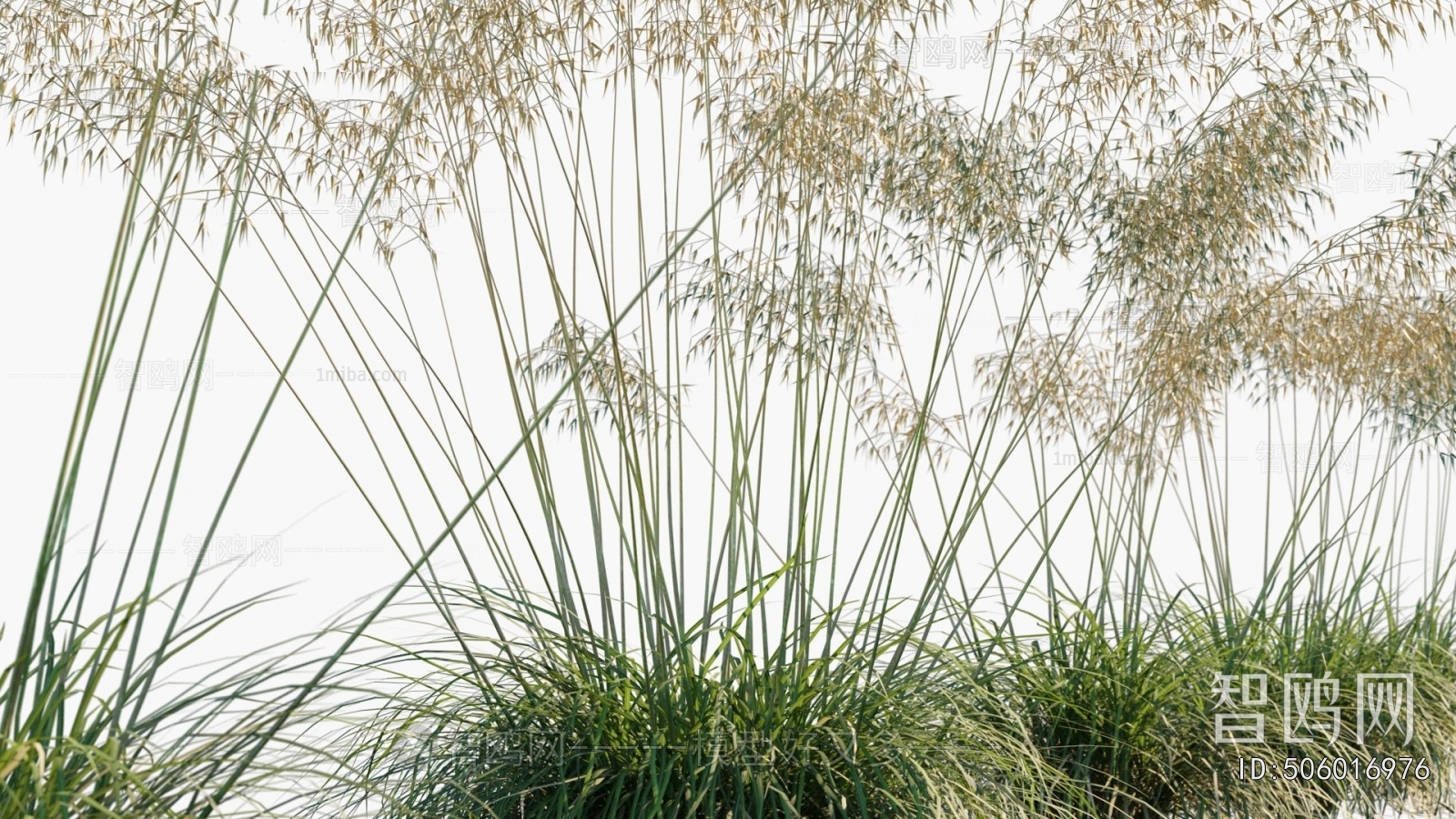 Modern Flowers And Grass