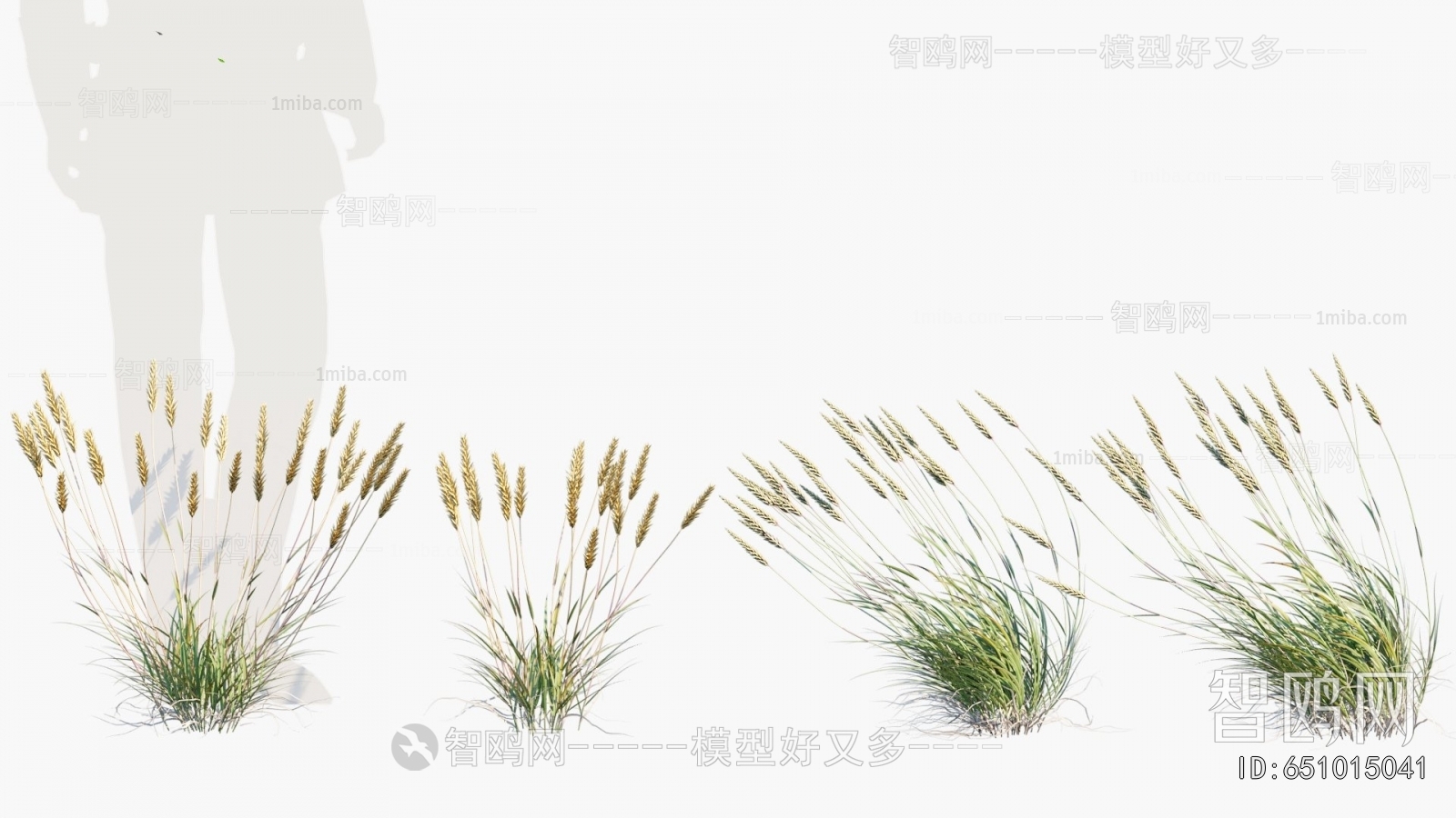 Modern Flowers And Grass