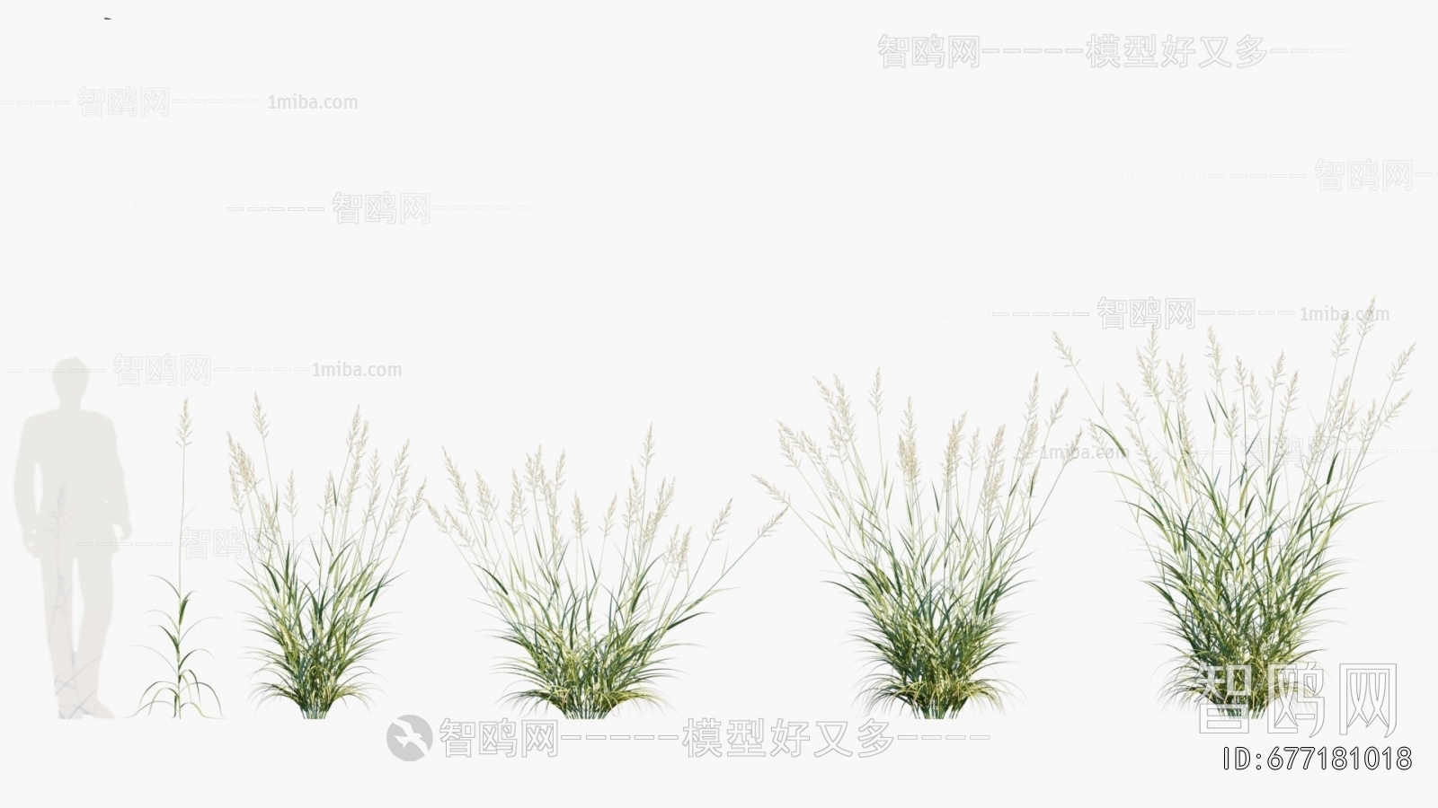 Modern Flowers And Grass