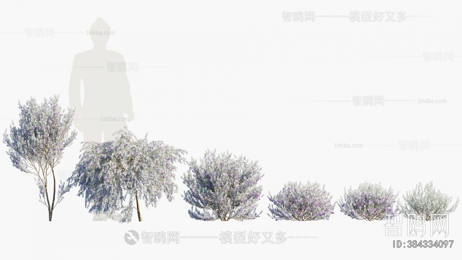 Modern Flowers And Grass