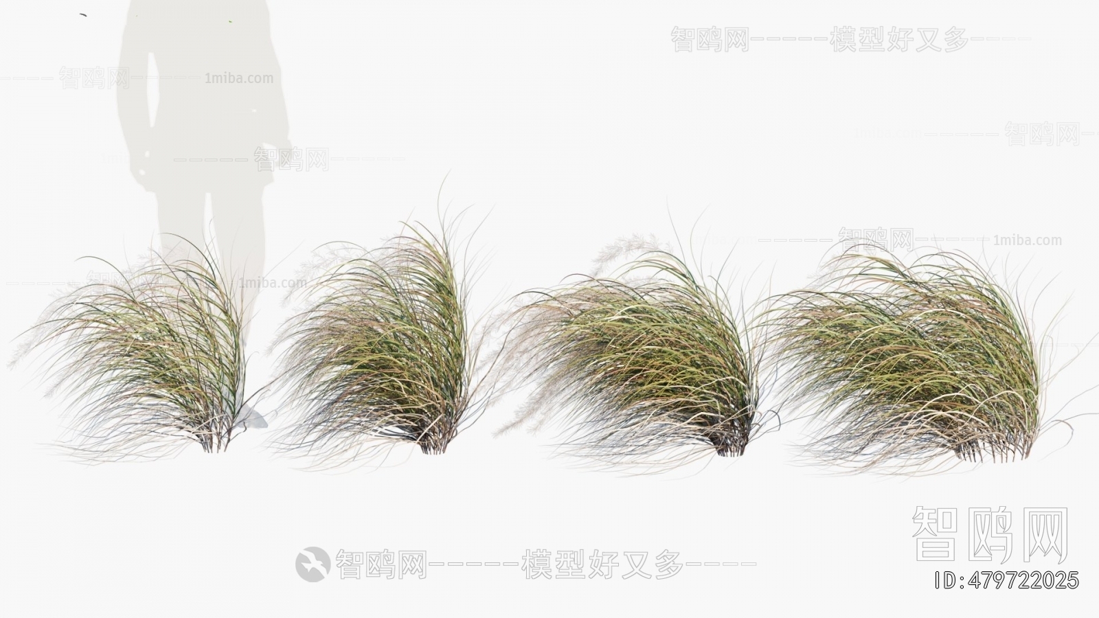 Modern Flowers And Grass