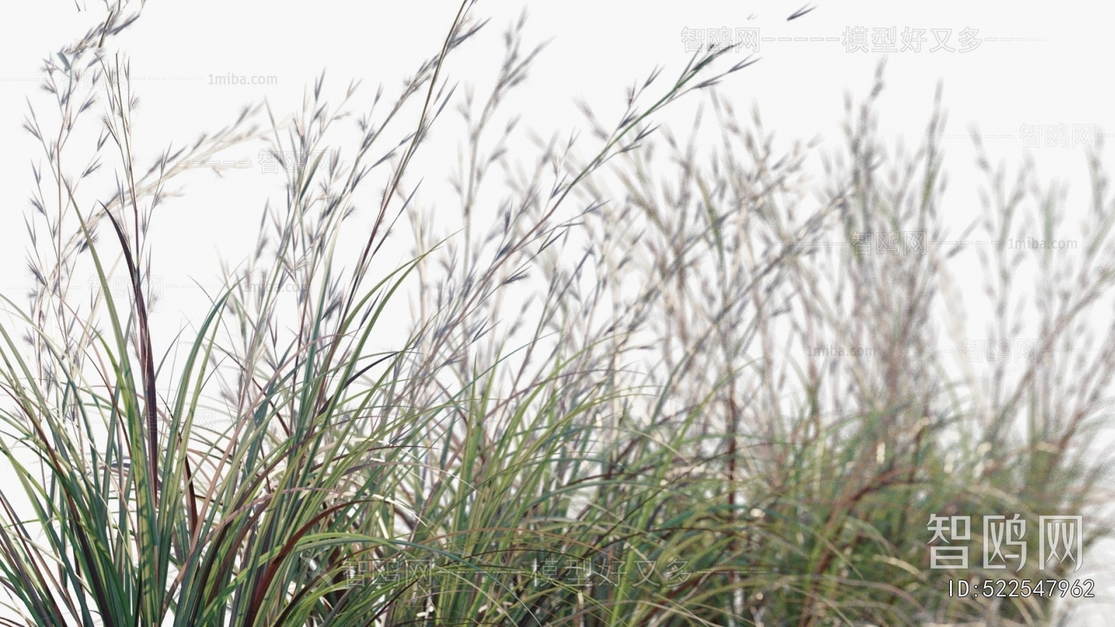 Modern Flowers And Grass