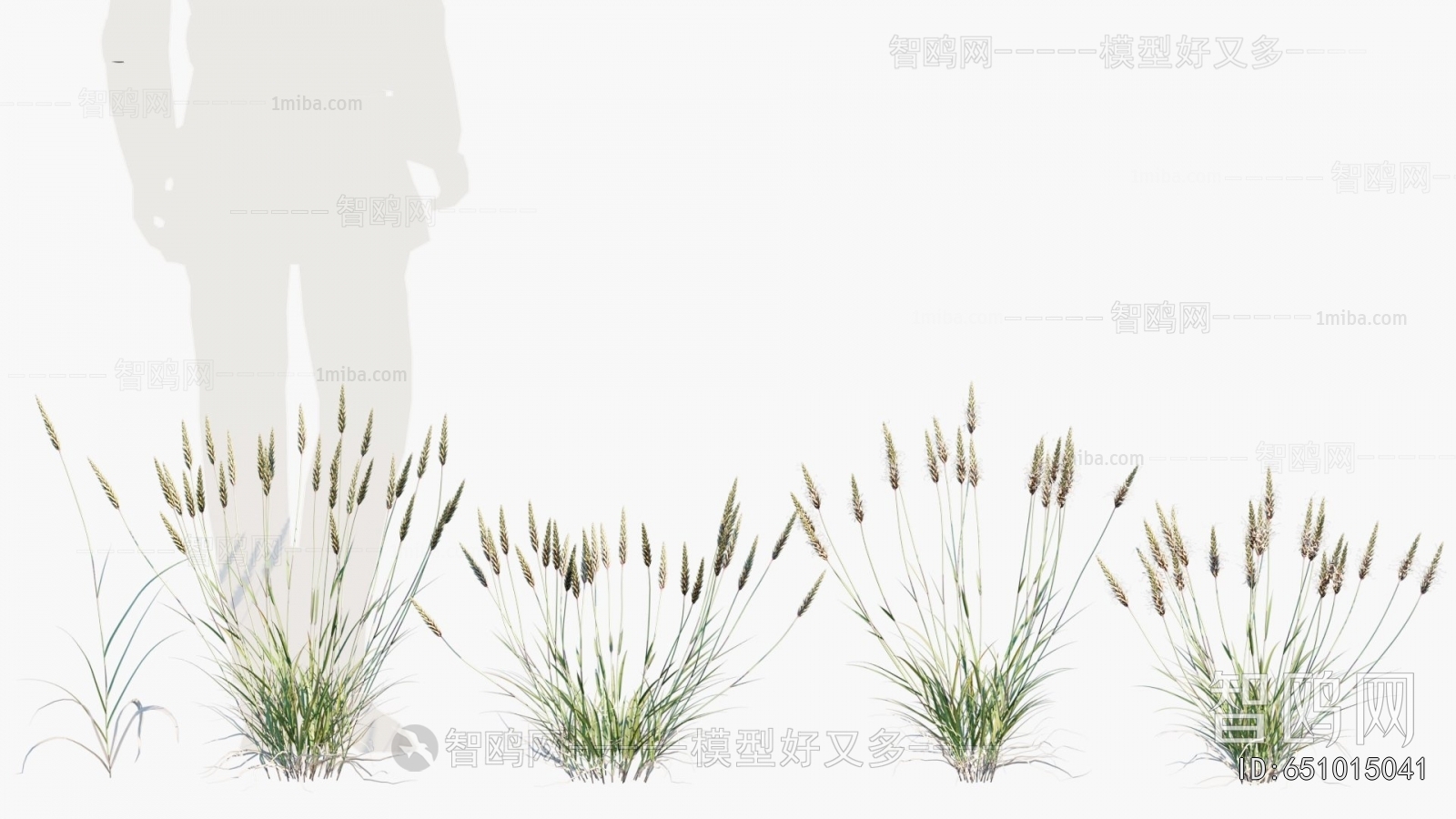 Modern Flowers And Grass