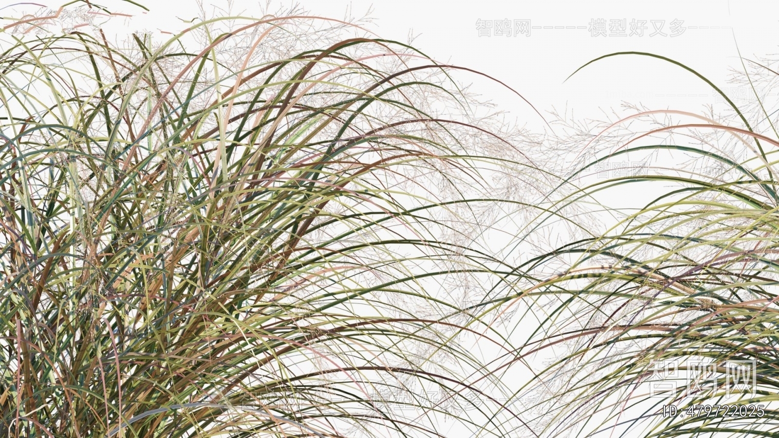 Modern Flowers And Grass