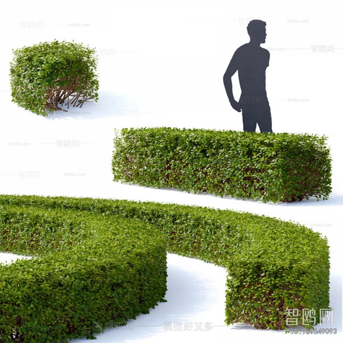 Modern Shrubbery