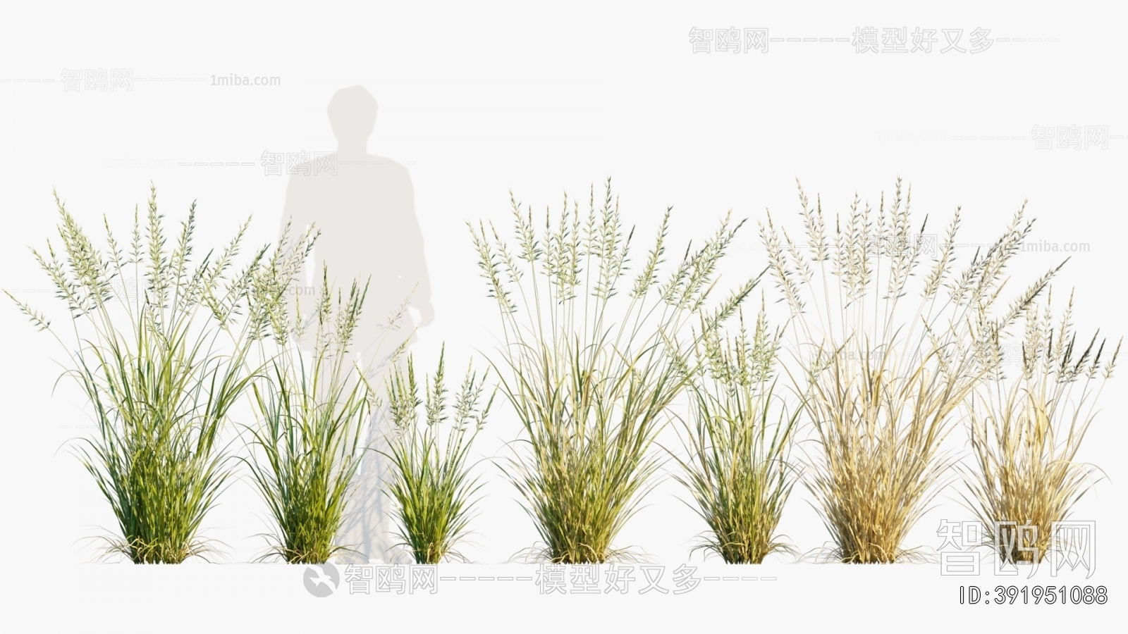 Modern Flowers And Grass