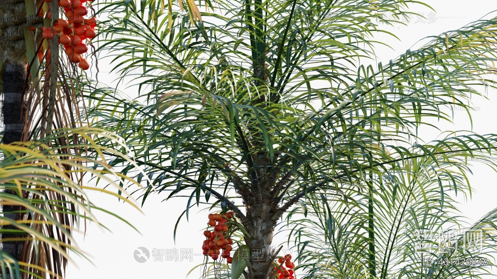 Modern Tree