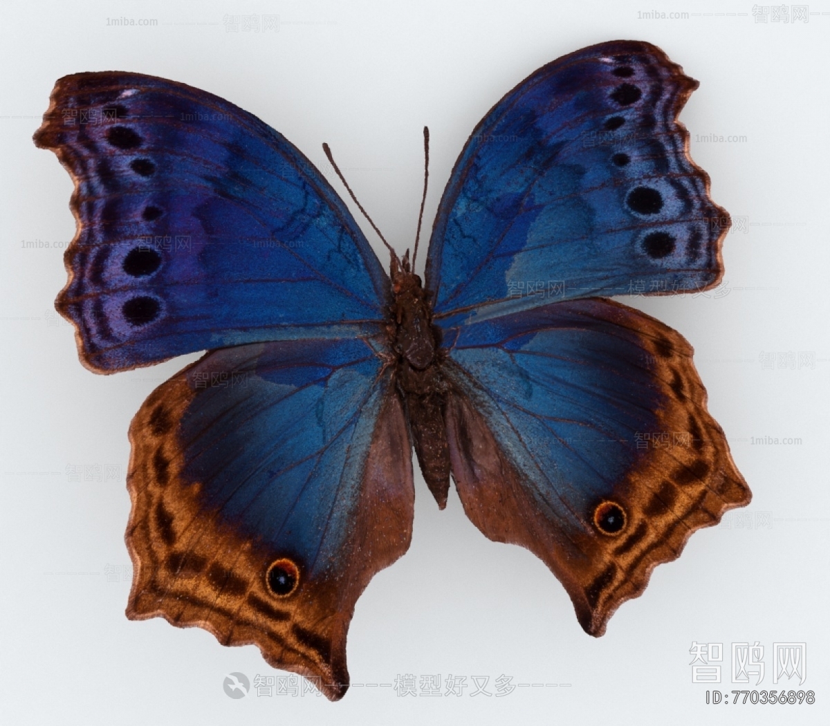 Modern Flying Animals