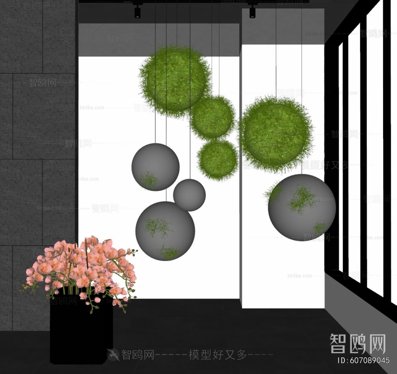 Modern Plant Landscaping