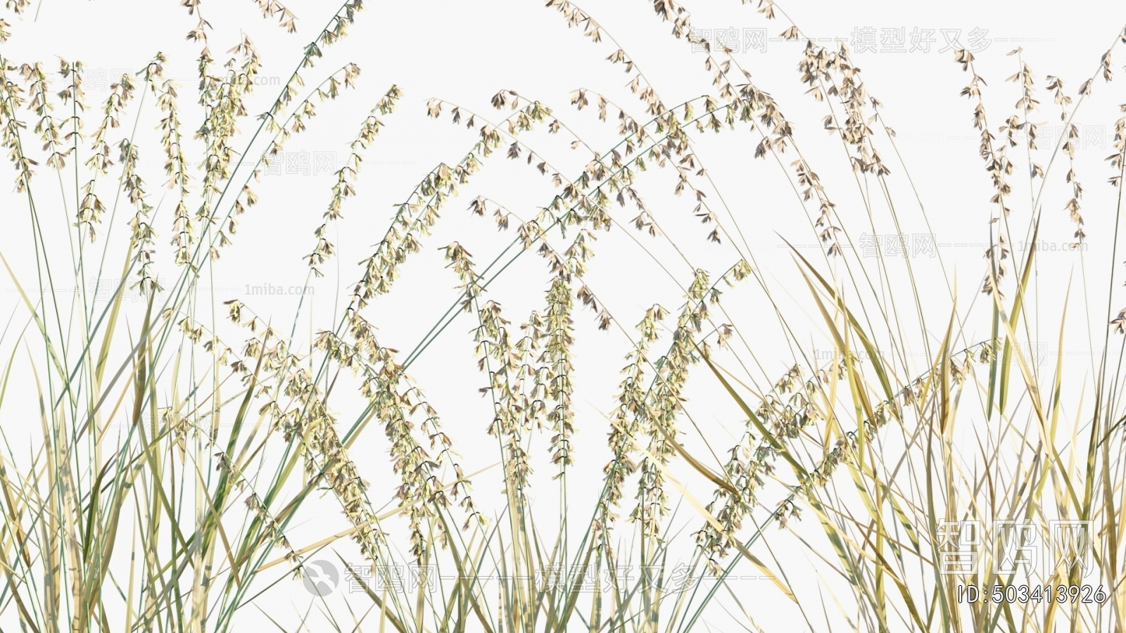 Modern Flowers And Grass