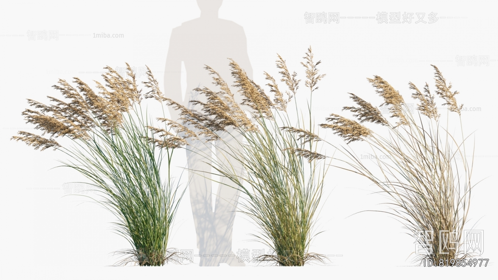 Modern Flowers And Grass