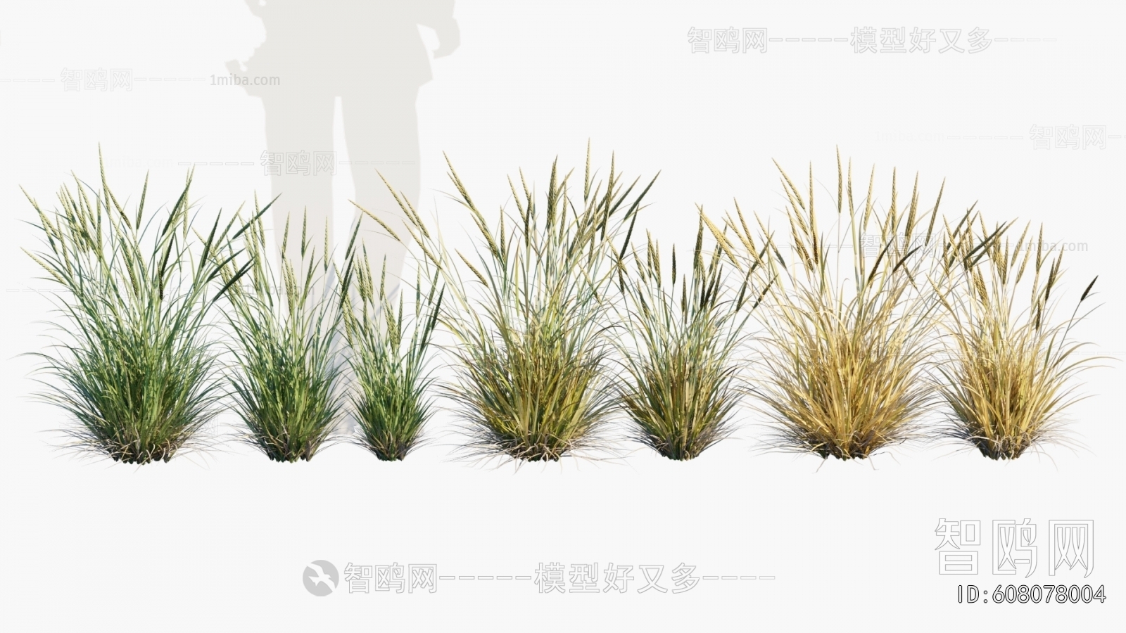 Modern Flowers And Grass