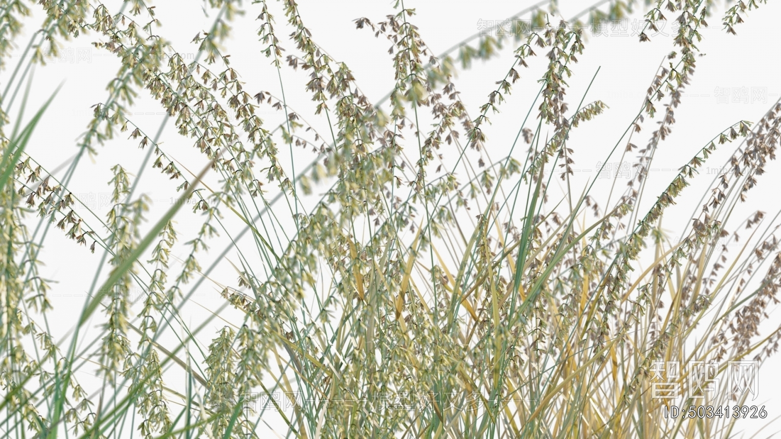 Modern Flowers And Grass