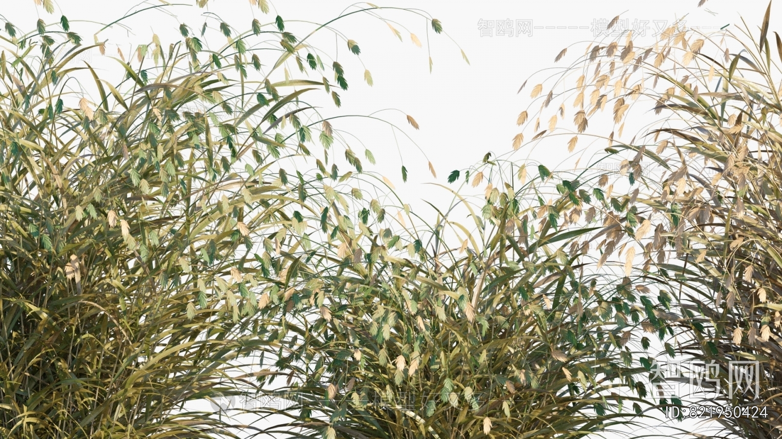 Modern Flowers And Grass