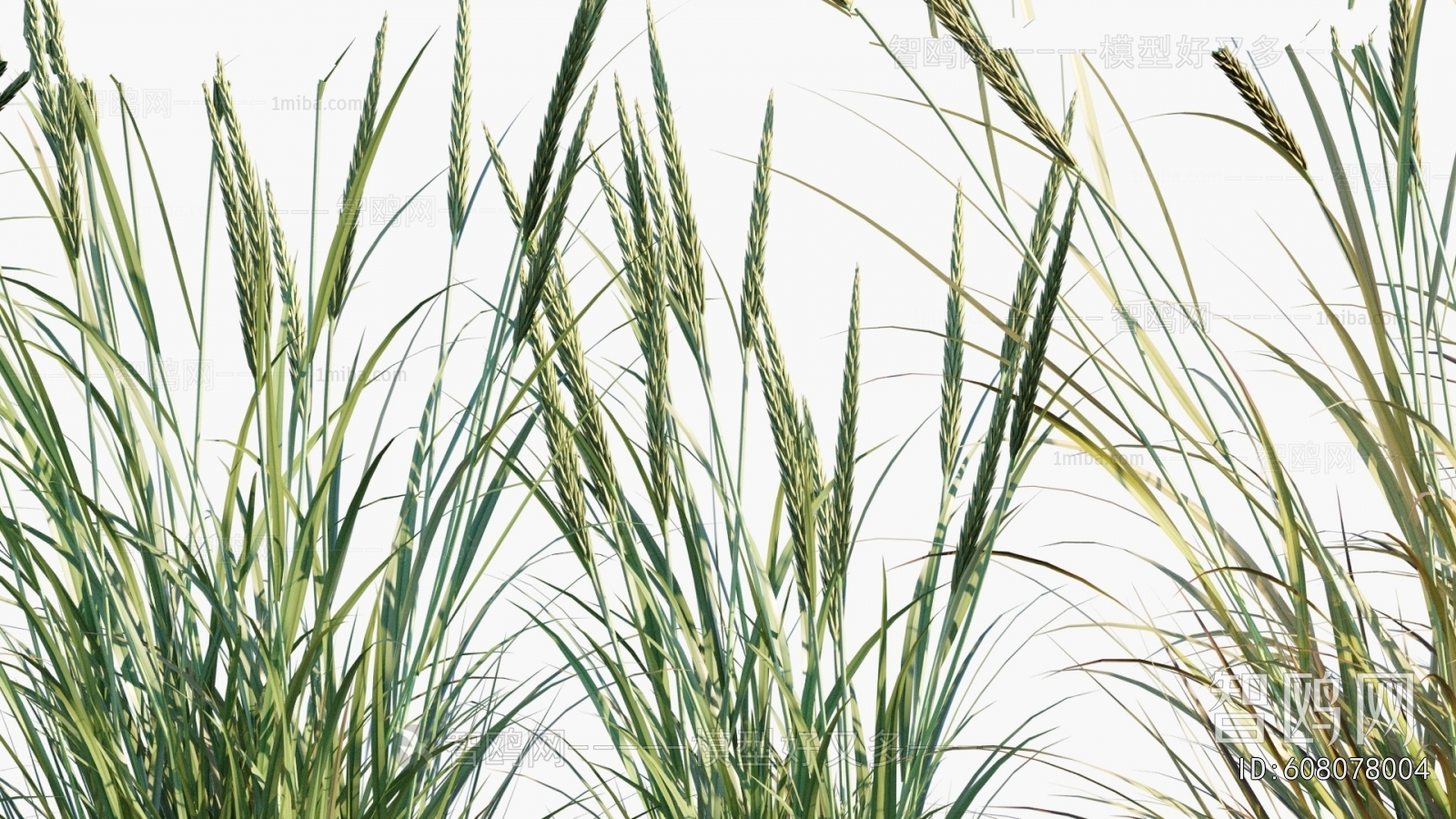 Modern Flowers And Grass