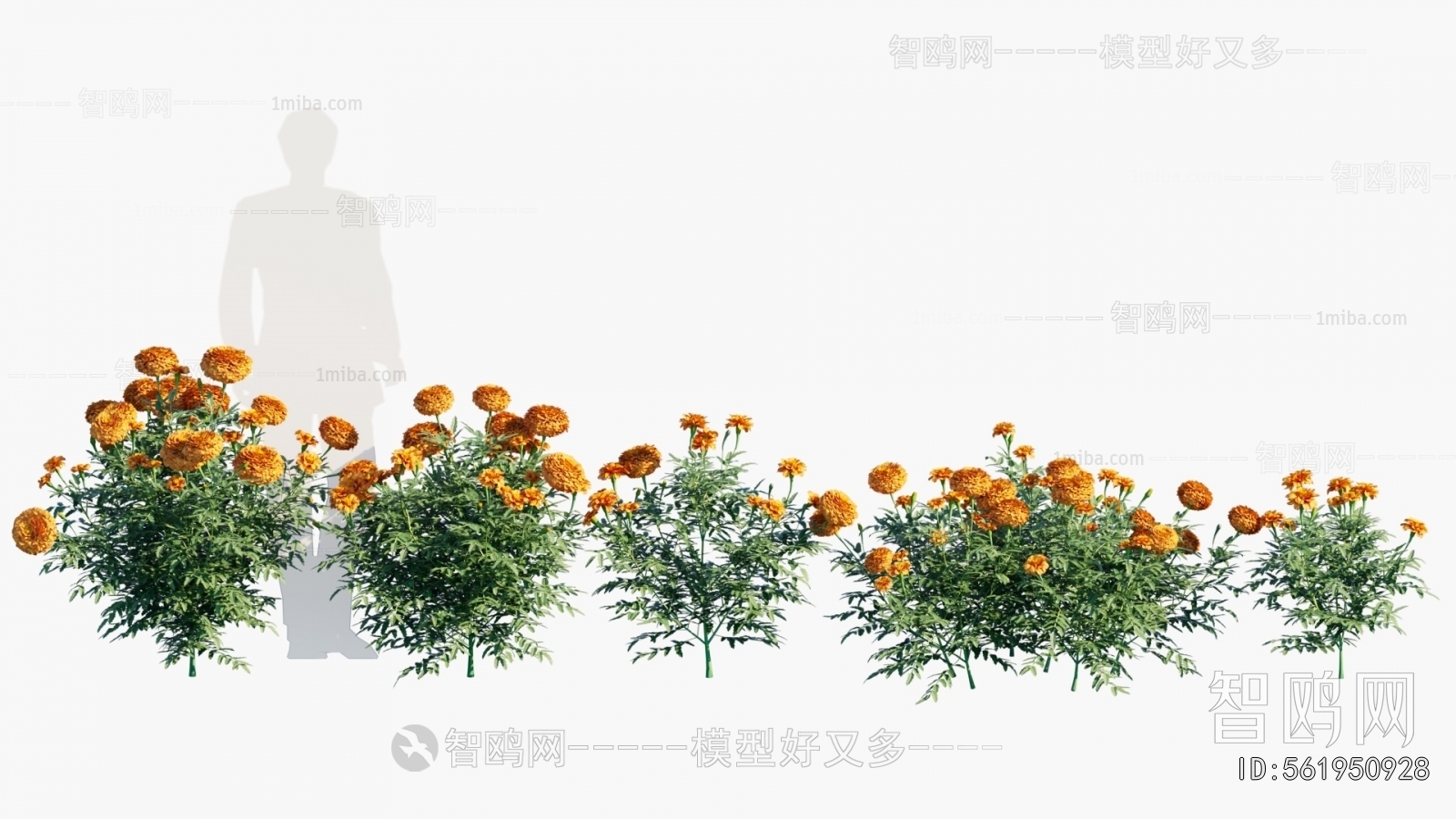 Modern Flowers And Grass