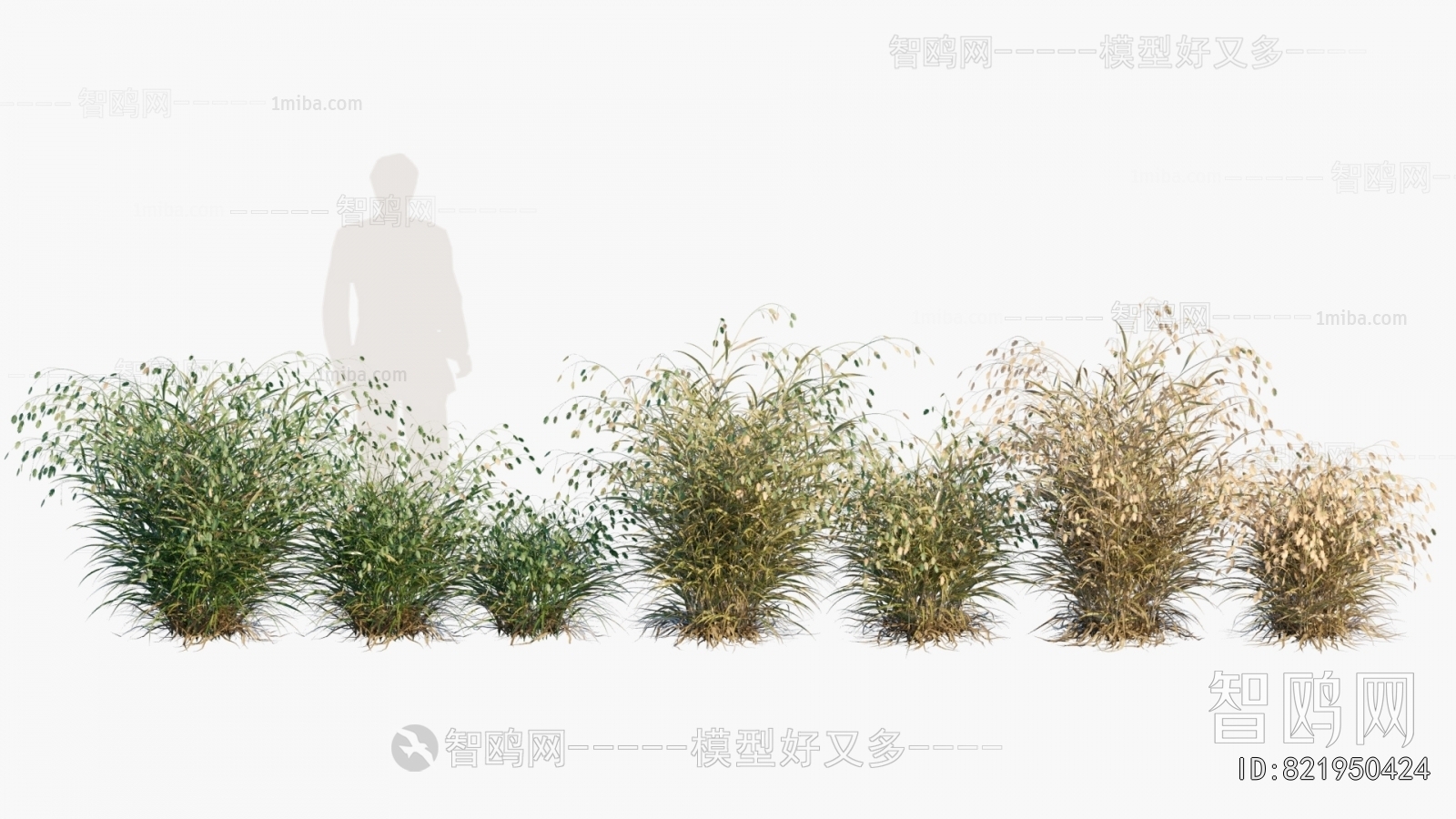 Modern Flowers And Grass