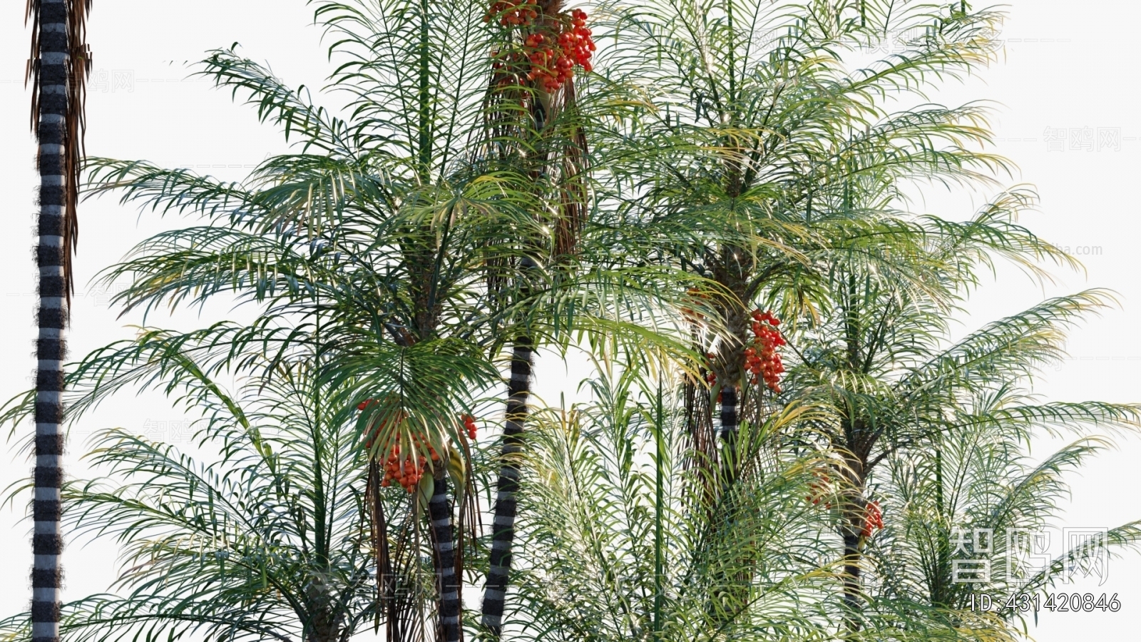 Modern Tree