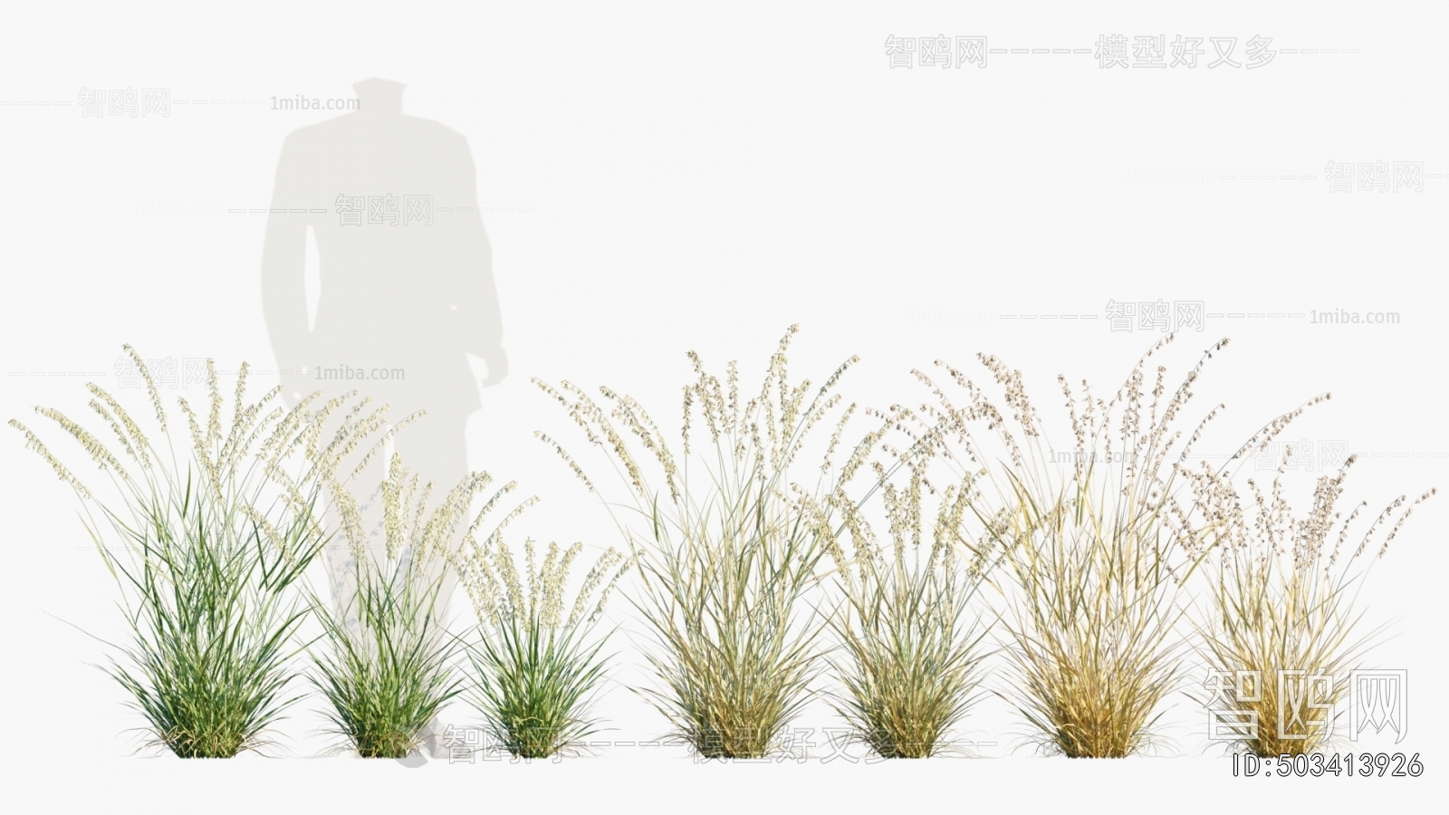 Modern Flowers And Grass