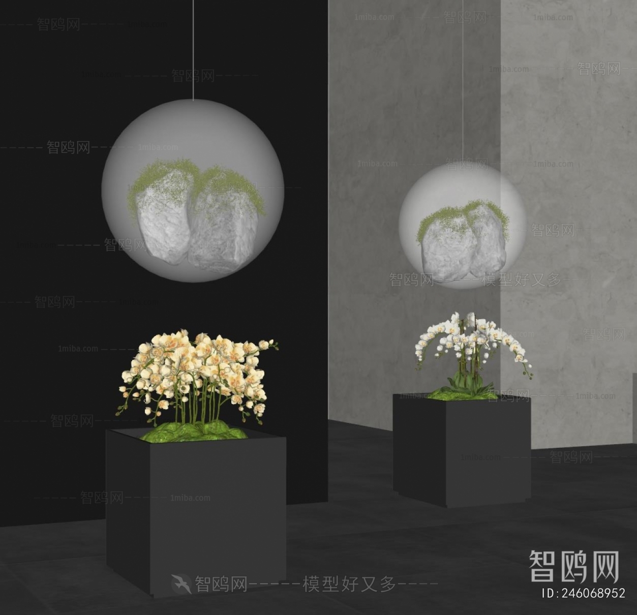 Modern Plant Landscaping