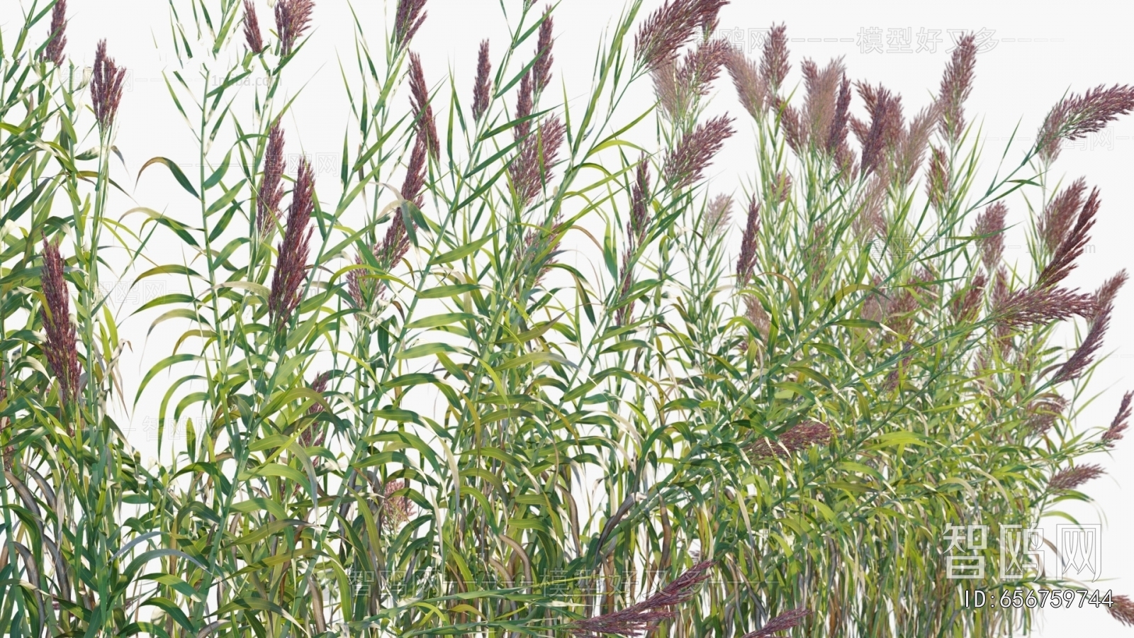 Modern Tree/shrub/grass