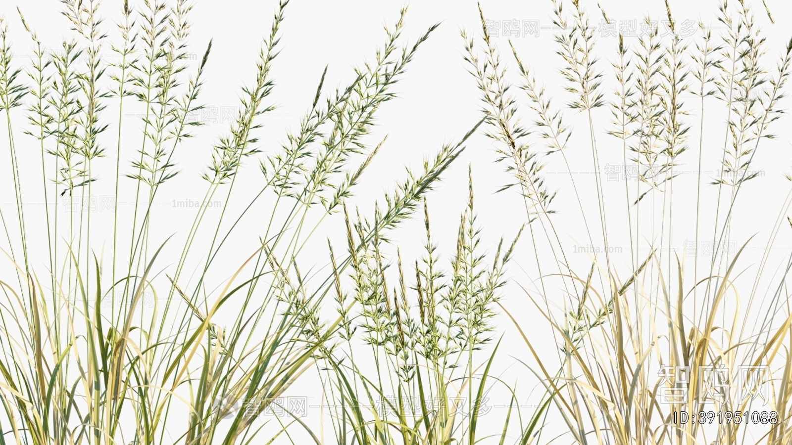 Modern Flowers And Grass