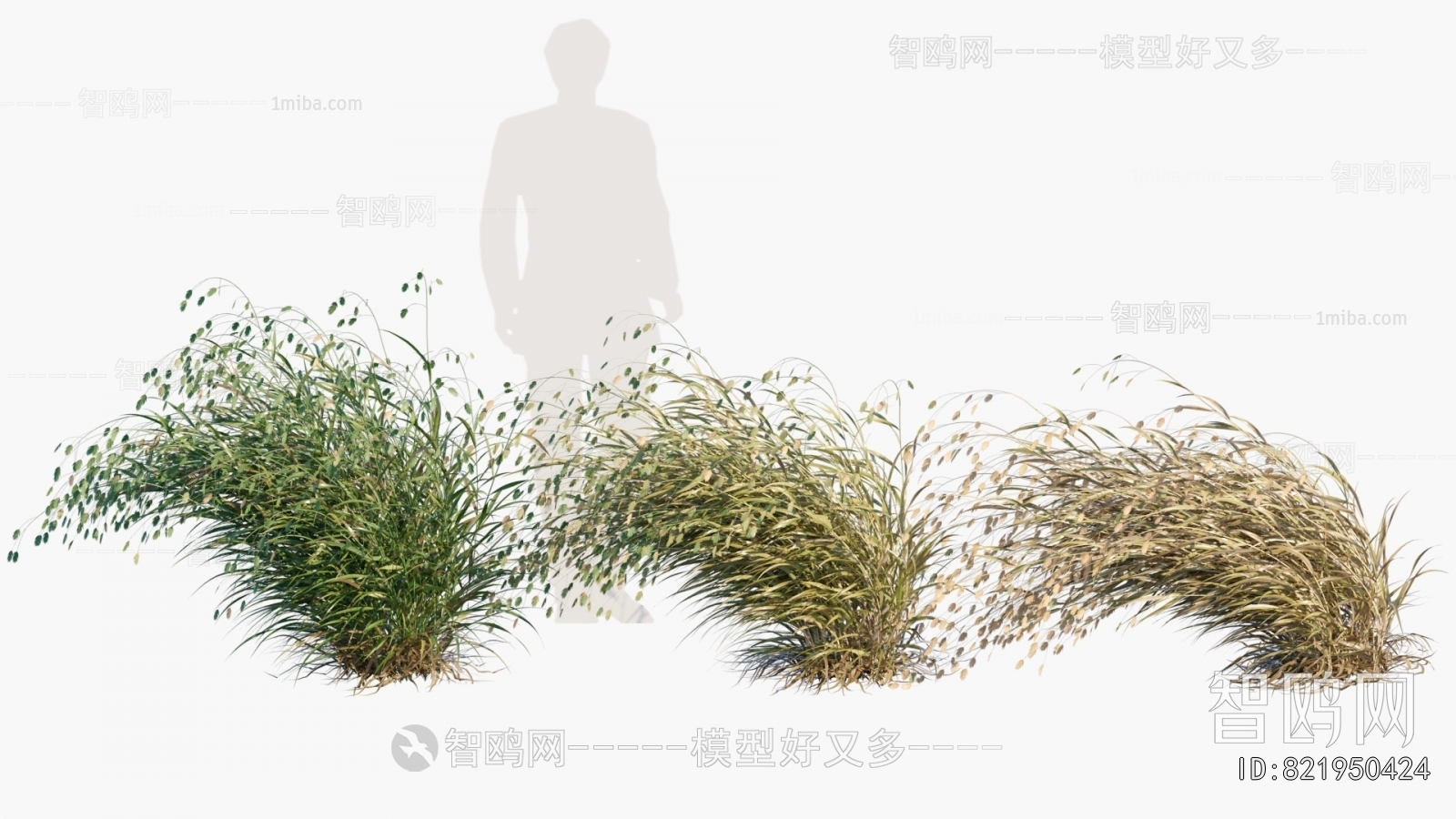 Modern Flowers And Grass