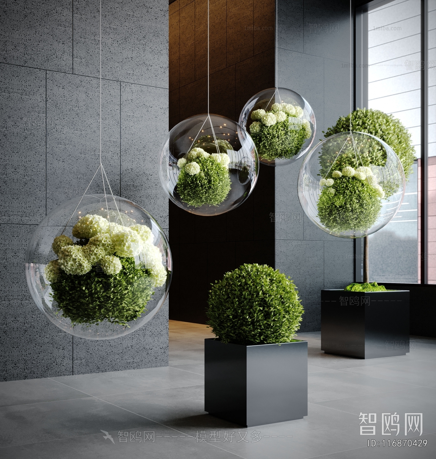 Modern Plant Landscaping