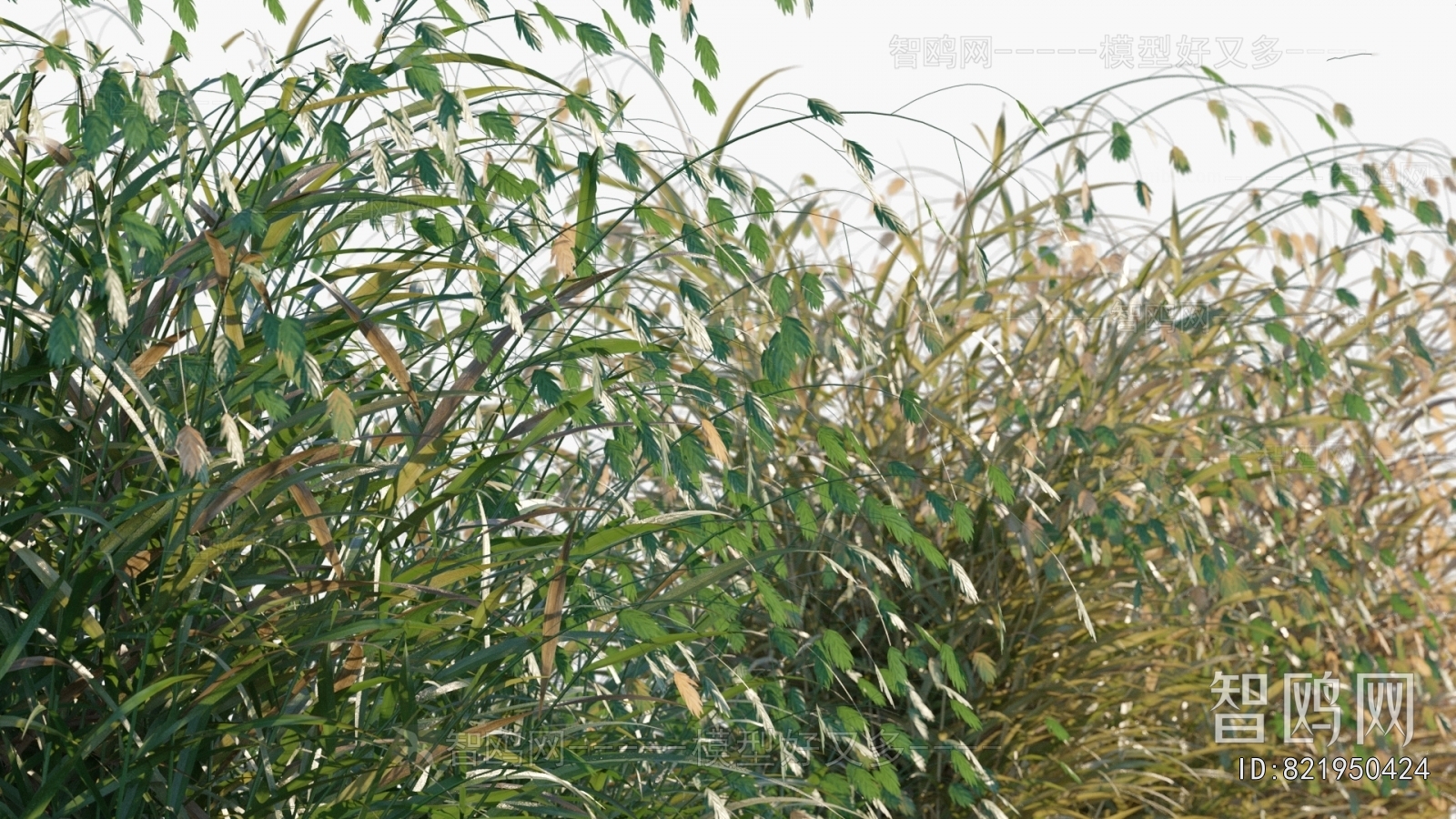 Modern Flowers And Grass