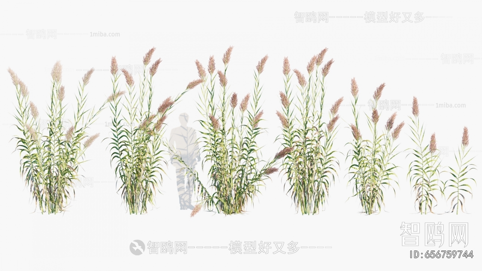 Modern Tree/shrub/grass