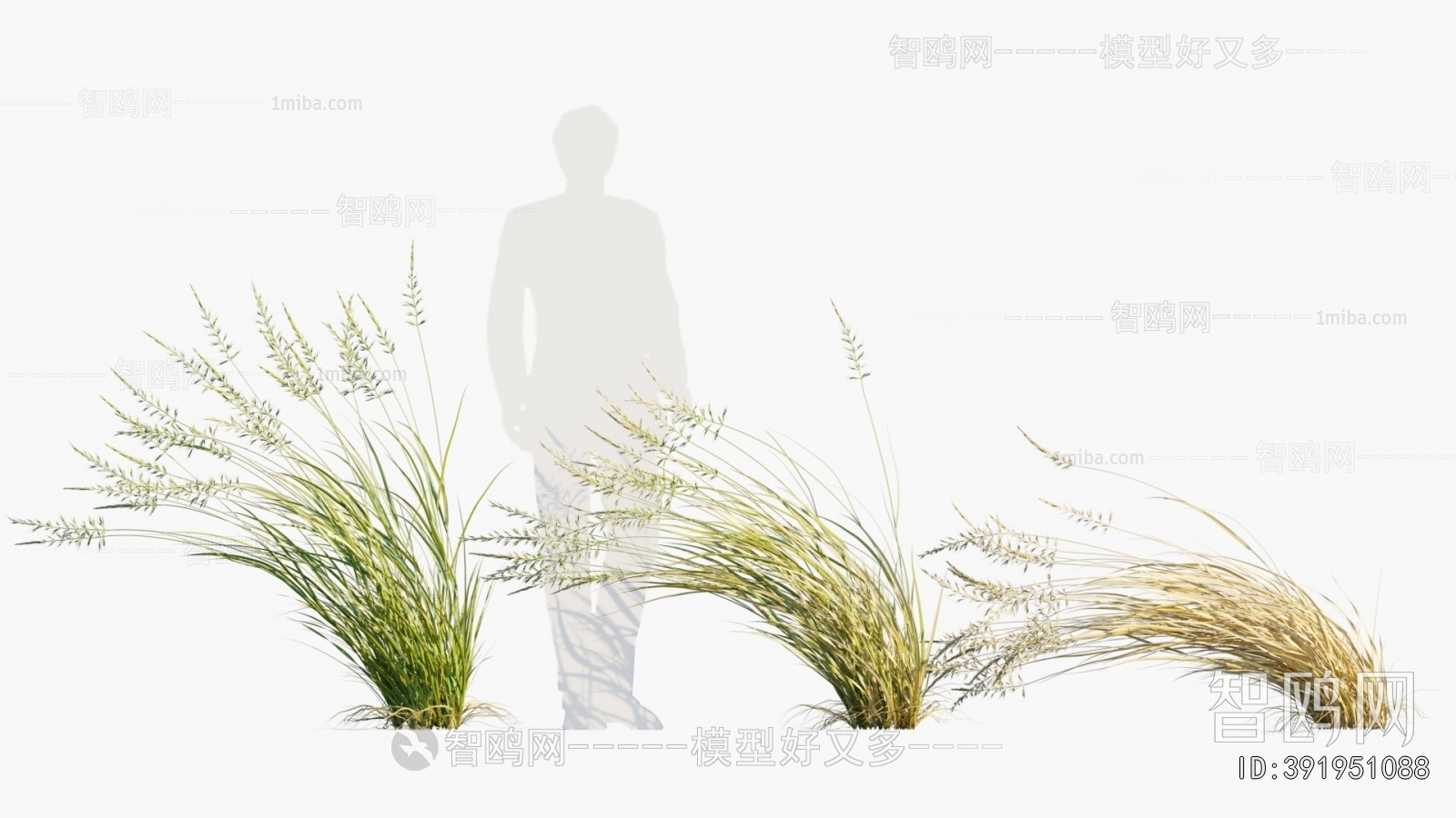 Modern Flowers And Grass