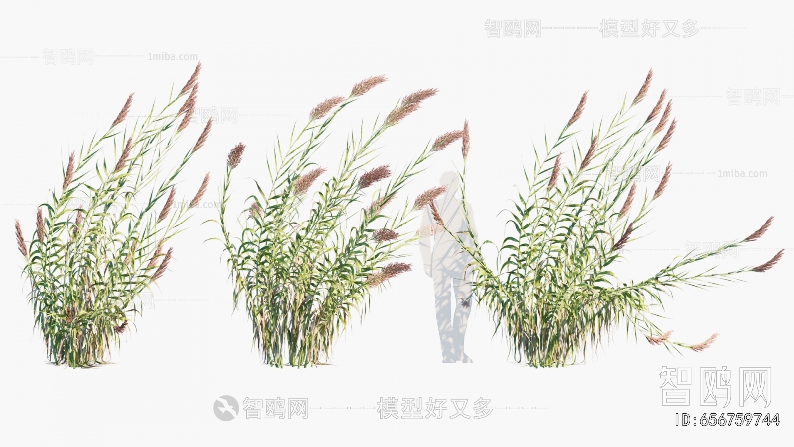 Modern Tree/shrub/grass