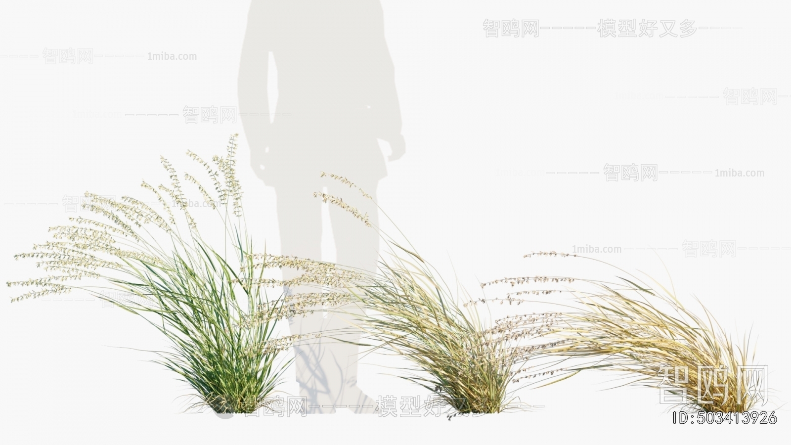 Modern Flowers And Grass