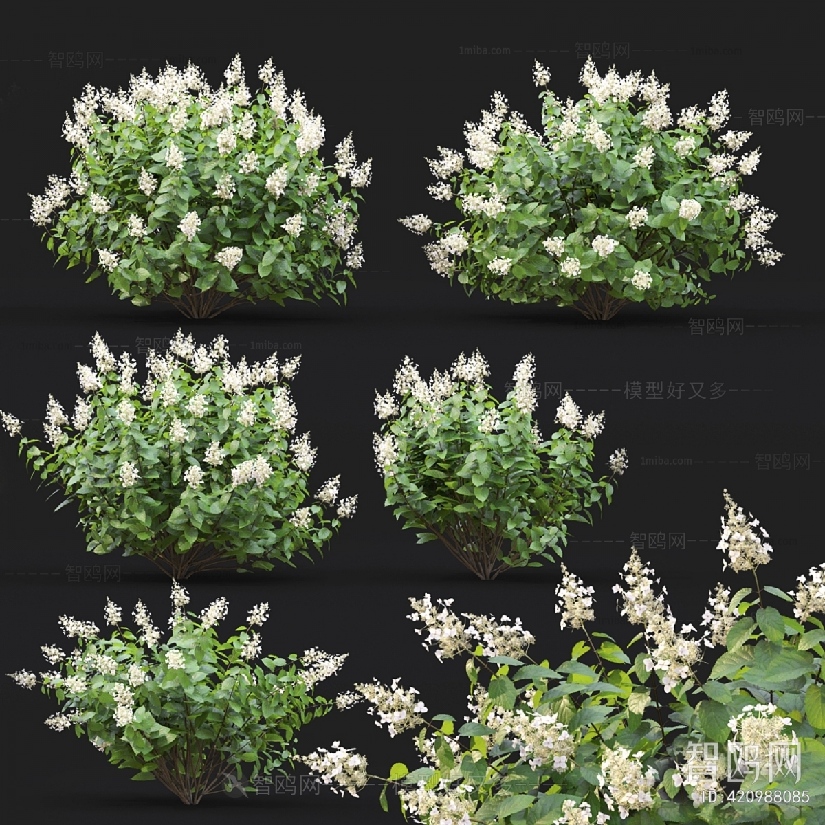 Modern Flowers And Grass