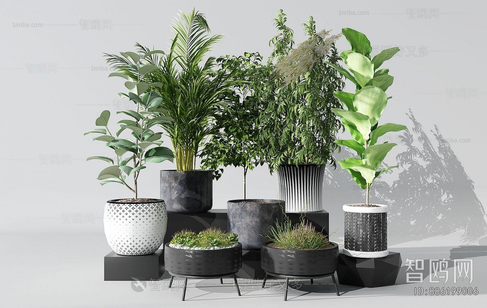 Modern Potted Green Plant