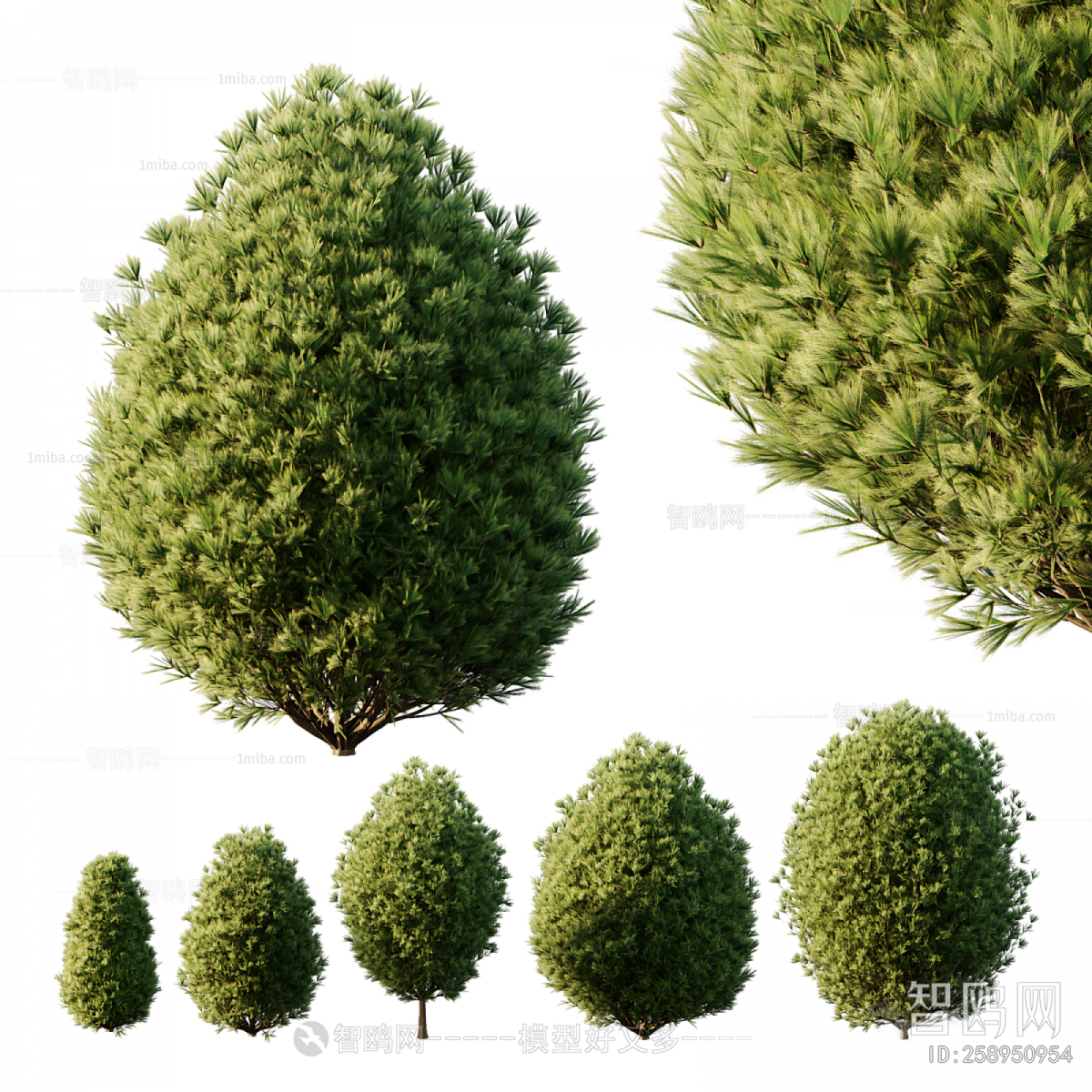 Modern Shrubbery
