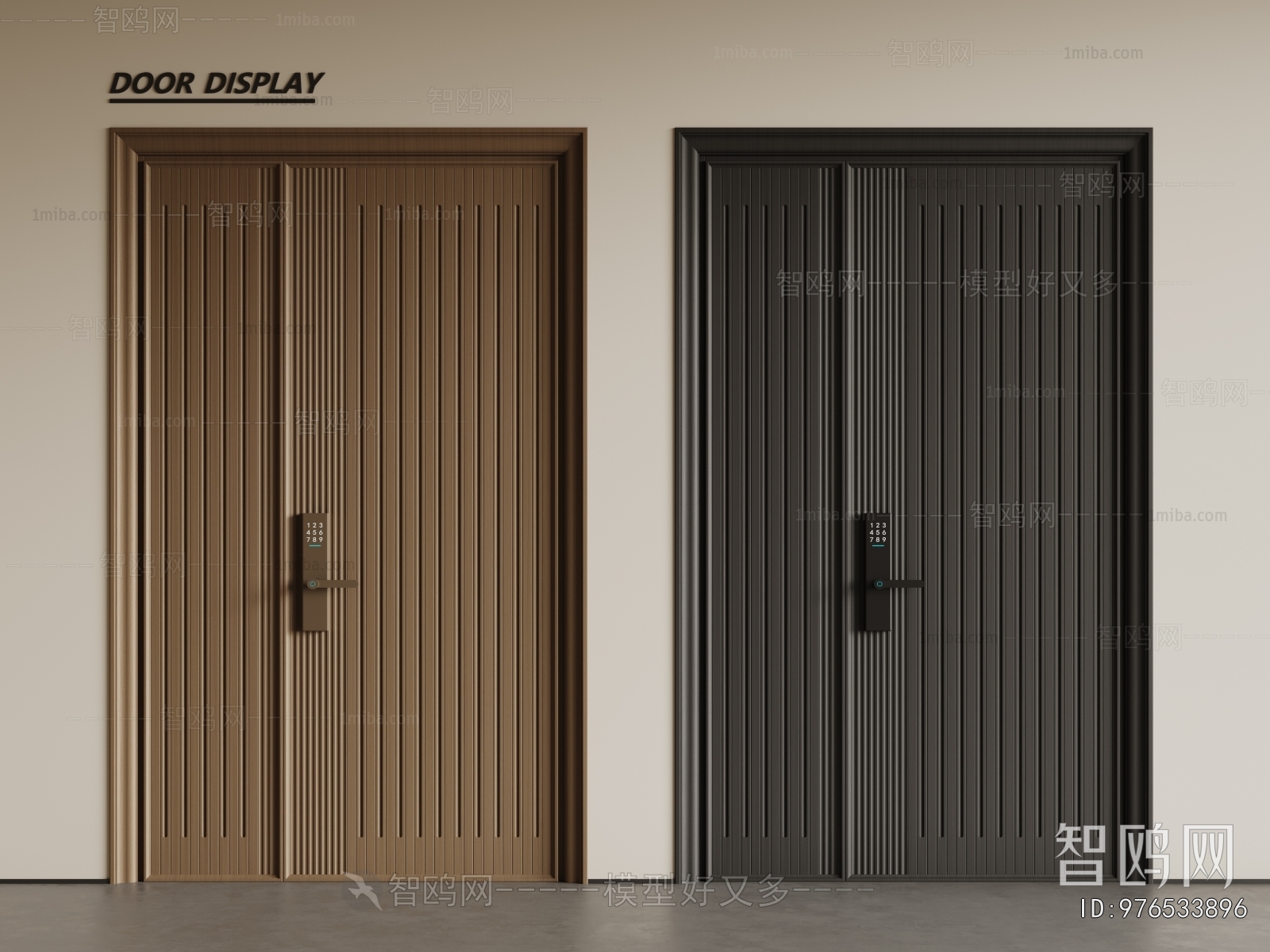 Modern Entrance Door