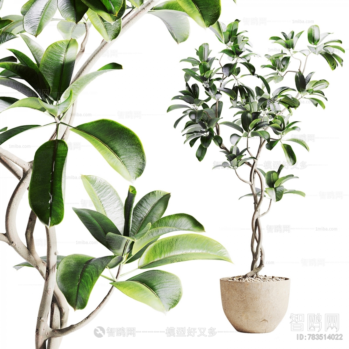 Modern Ground Green Plant Potted Plants