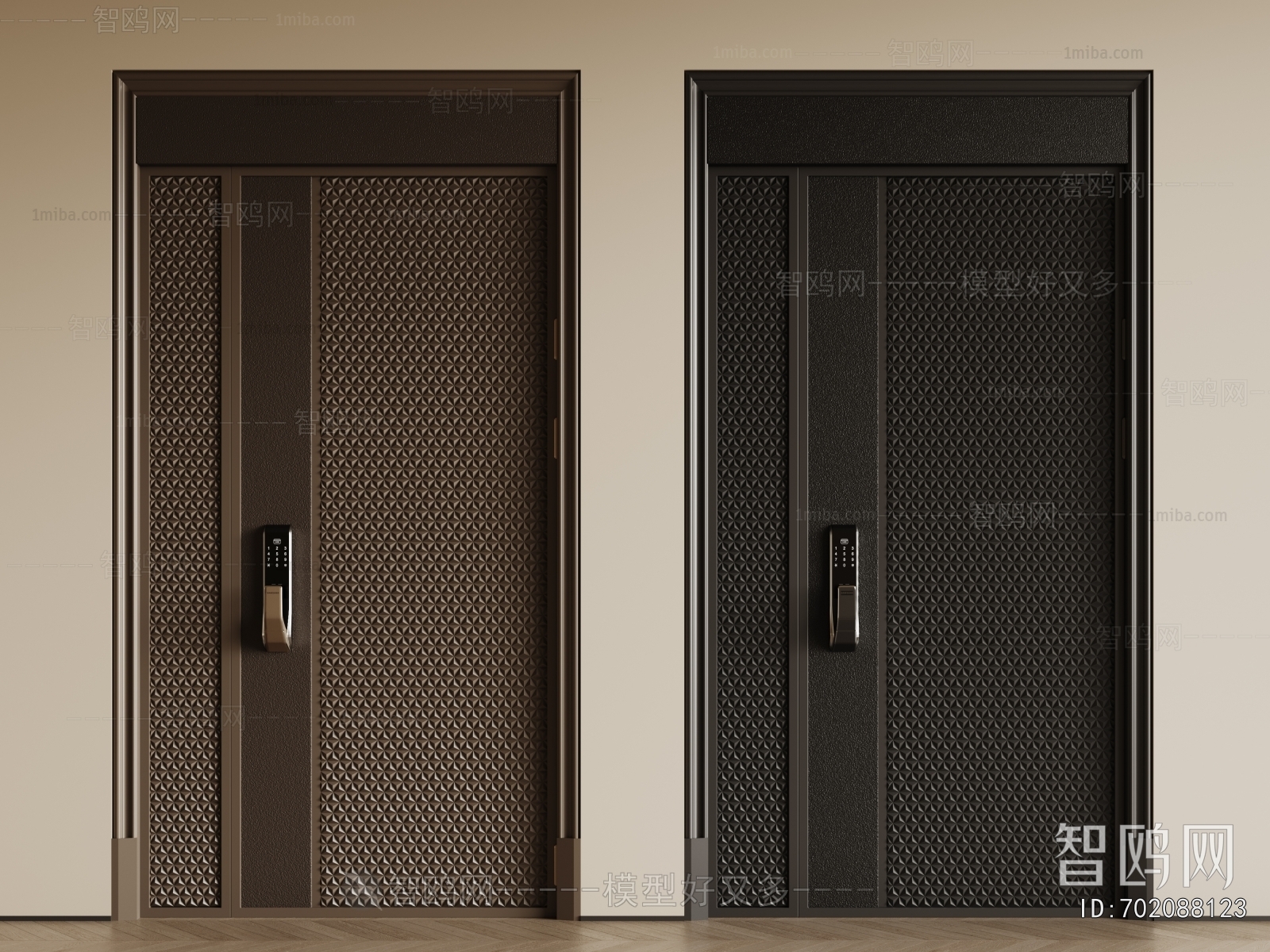 Modern Entrance Door