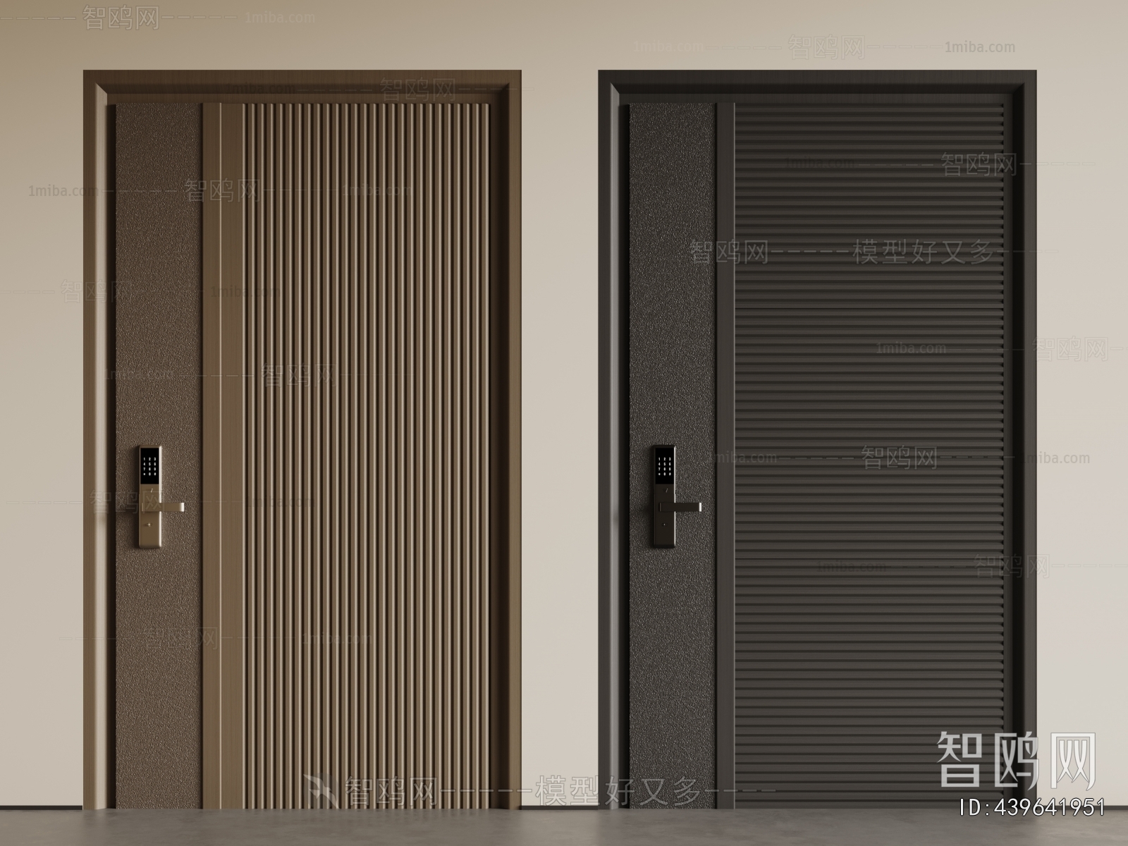 Modern Entrance Door