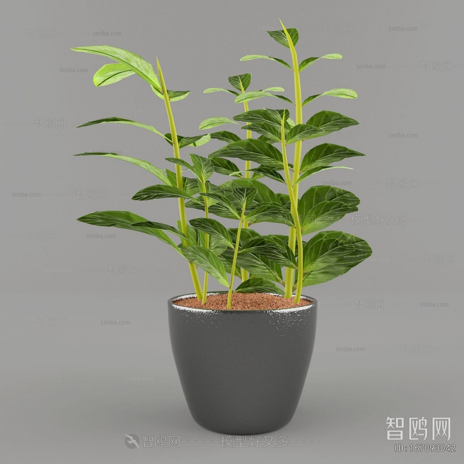 Modern Desktop Plant