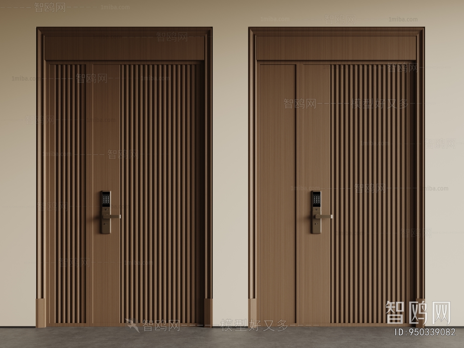 Modern Entrance Door