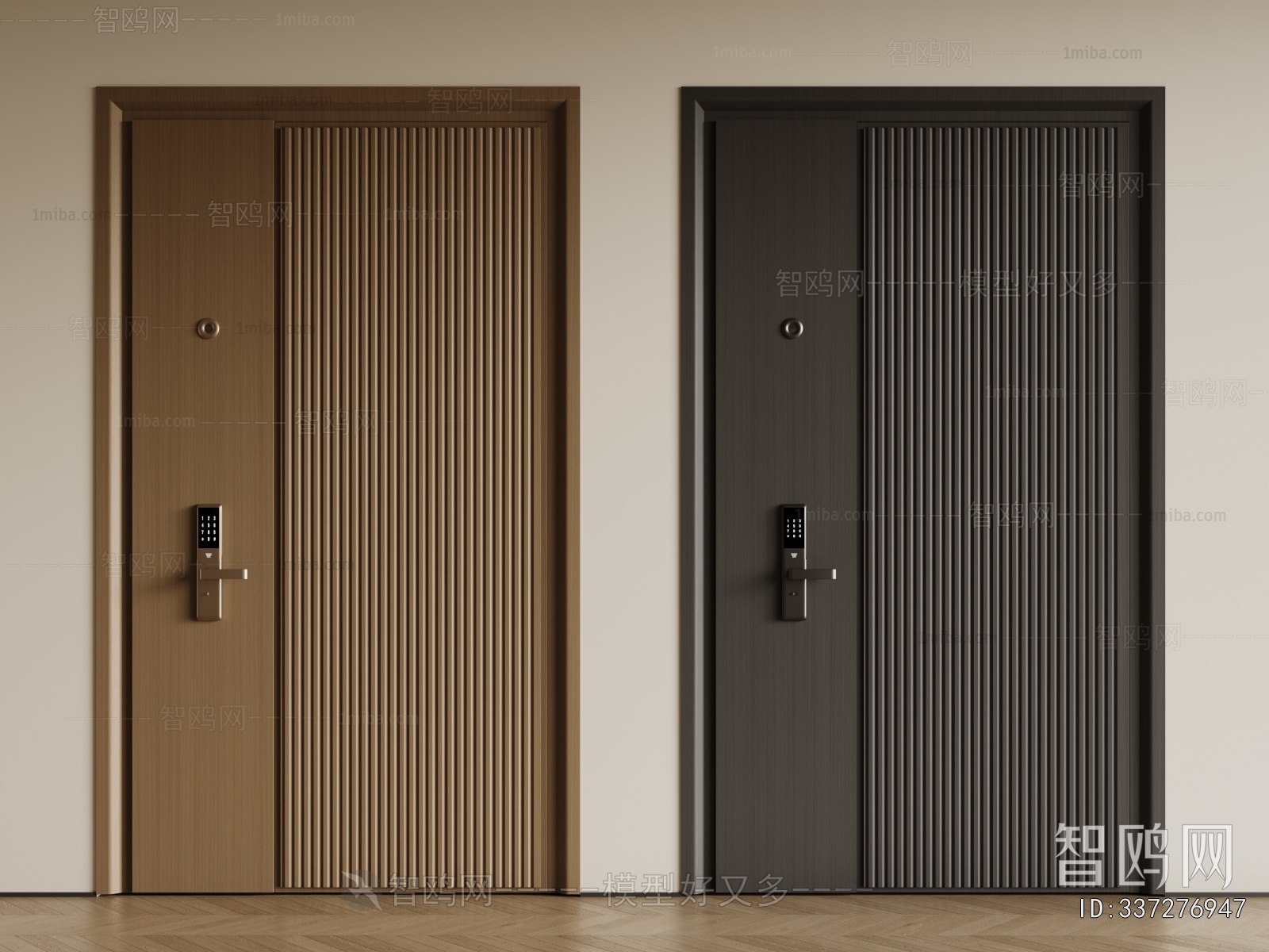 Modern Entrance Door