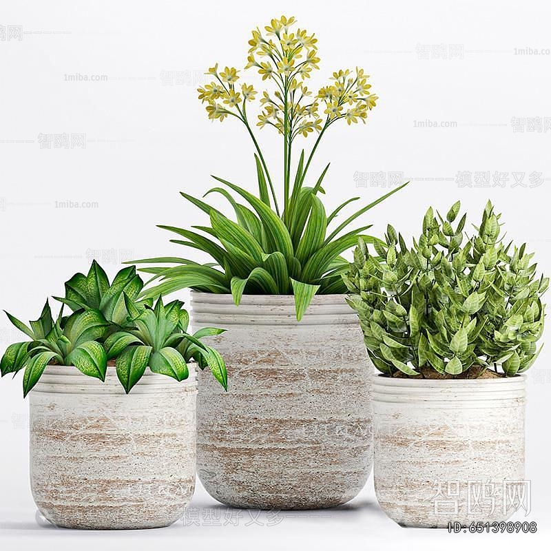 Modern Potted Green Plant
