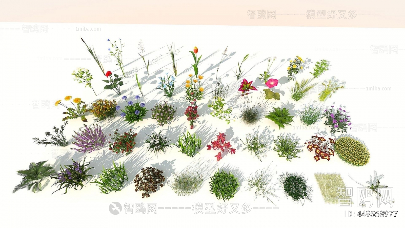 Modern Flowers And Grass