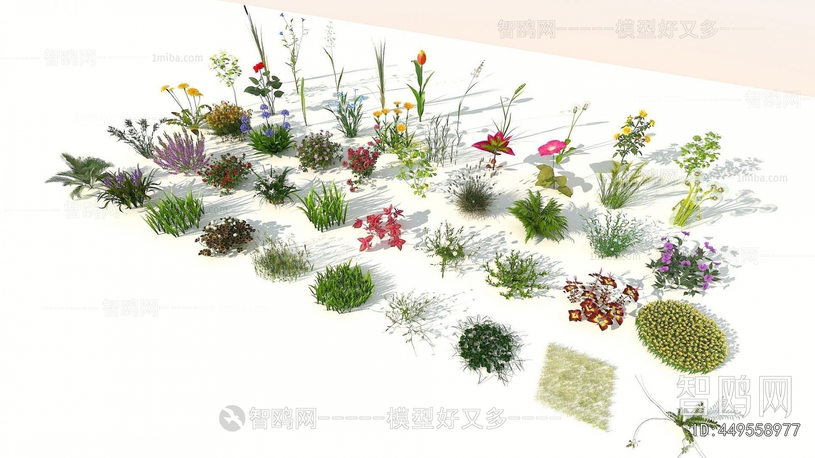 Modern Flowers And Grass